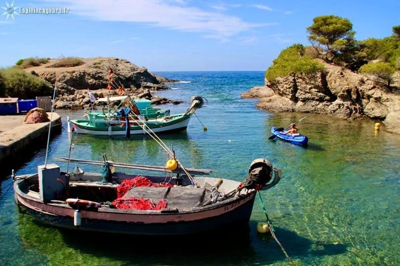 La Fincazur! Proche Plages Six-Fours-les-Plages Bagian luar foto